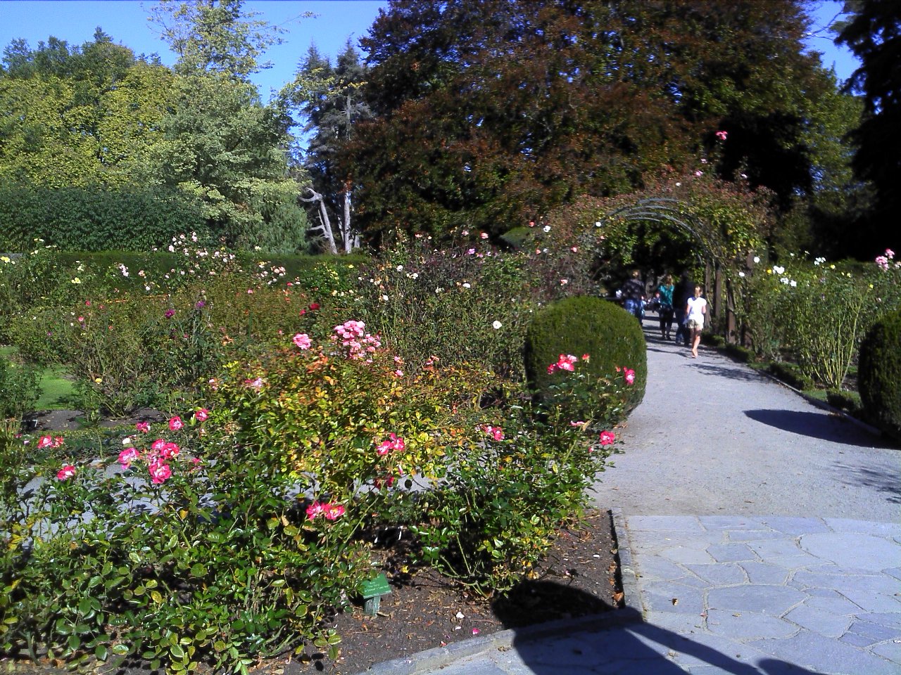 IMAGE013.jpg
