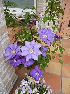 P1180310ss.jpg