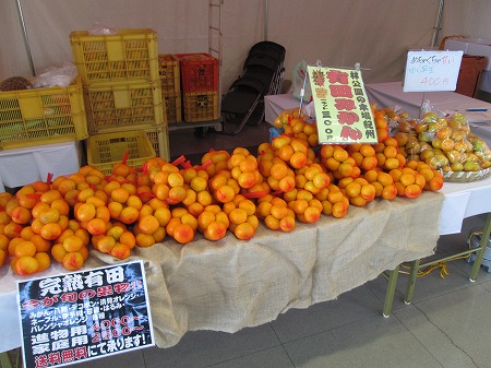 s-IMG_1050.jpg