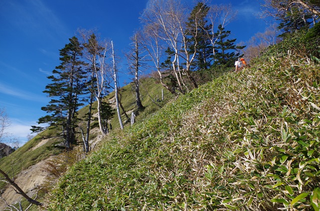 IMGP1431.JPG