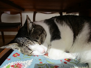 IMG_1473ss.jpg