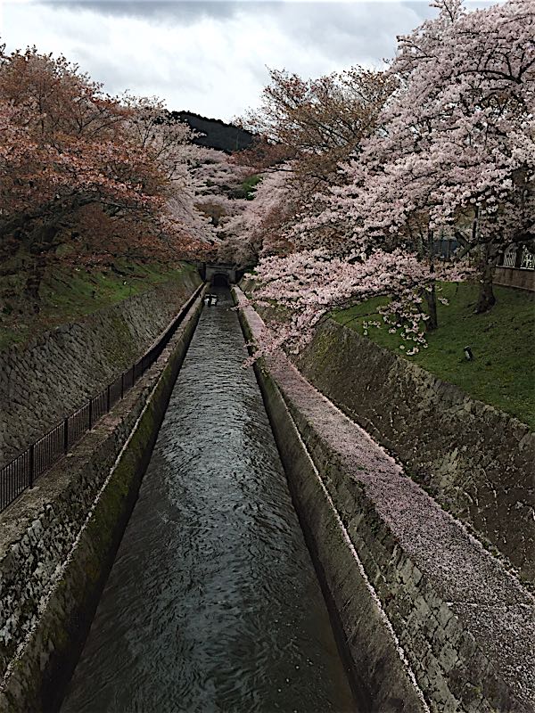 rblog-20160417093357-01.jpg