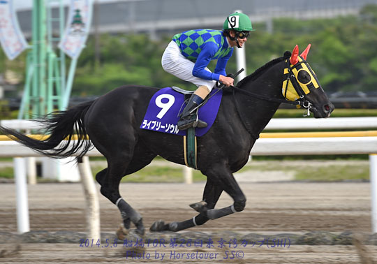 09Dominus050814Fn050814fn10R_03