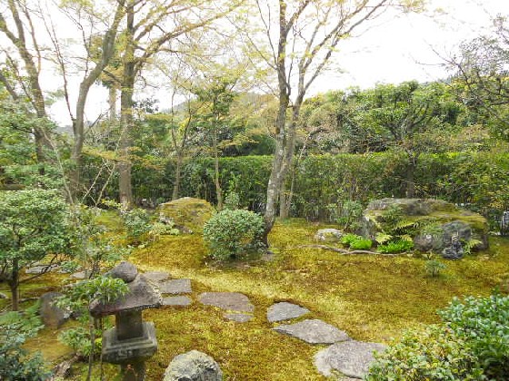 2016-4　妙心寺・大法院の露地庭園西側.jpg