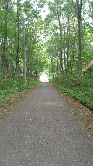 DSC_0271.jpg