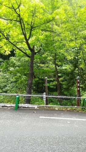 rblog-20180814045530-04.jpg