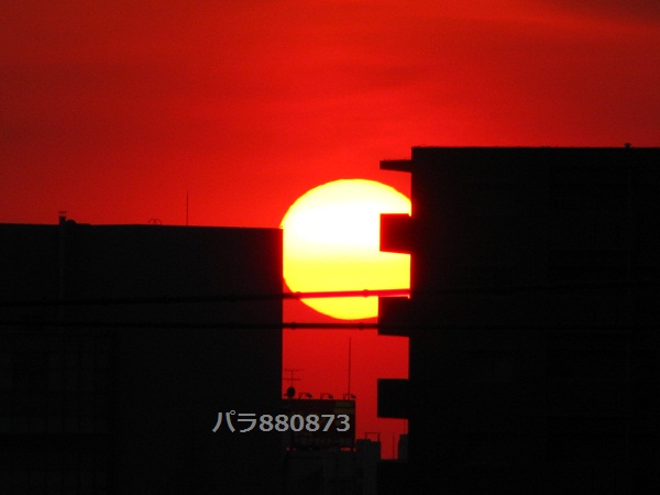 IMG_0597 - コピー.JPG