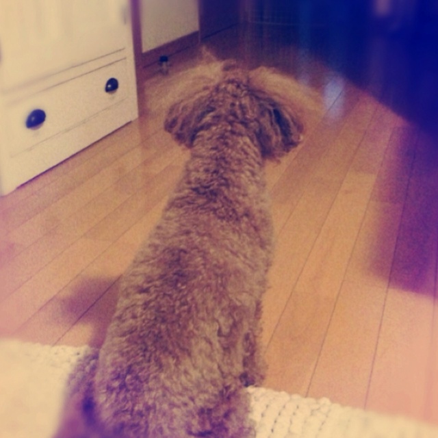 rblog-20130908140413-01.jpg