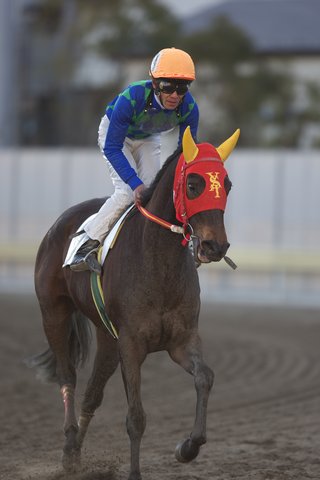 レース後