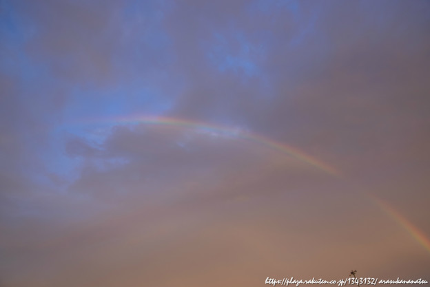 私たちの五感に響く13の現代彫刻