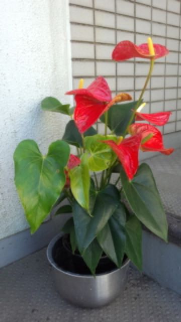 rblog-20180819085405-02.jpg