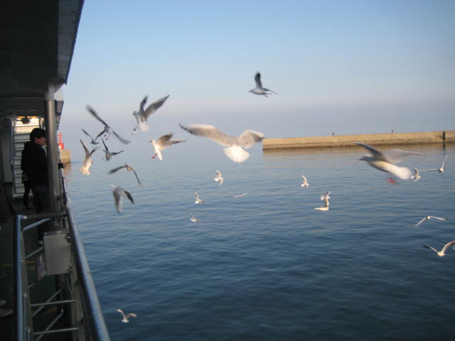 IMG_0203.JPG