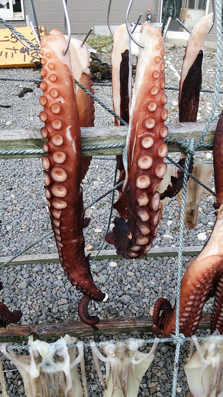 tako01