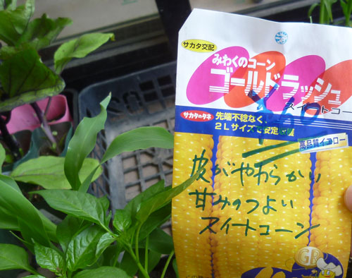 コーン１.jpg