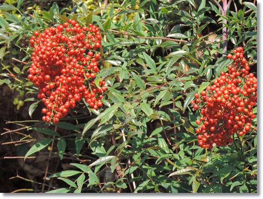 DSCN2354.JPG