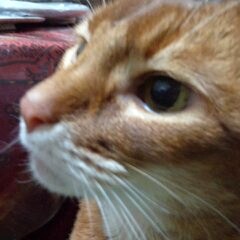 ３月９日分 011.jpg