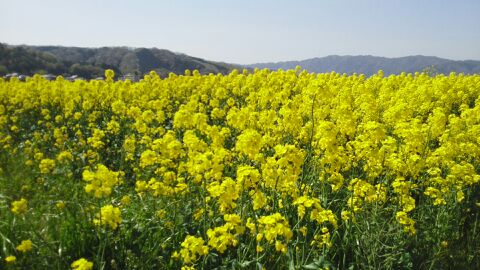 rblog-20150418155108-01.jpg