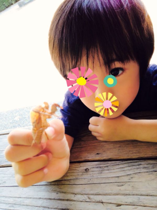 rblog-20140809200728-00.jpg