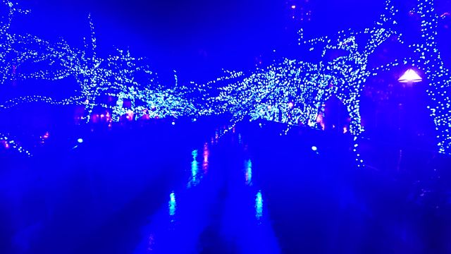 2014-12-02 18.38.09.jpg