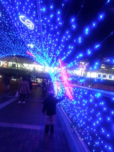 DSC_0012.jpg