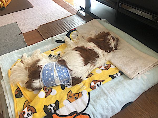 rblog-20180501184251-00.jpg