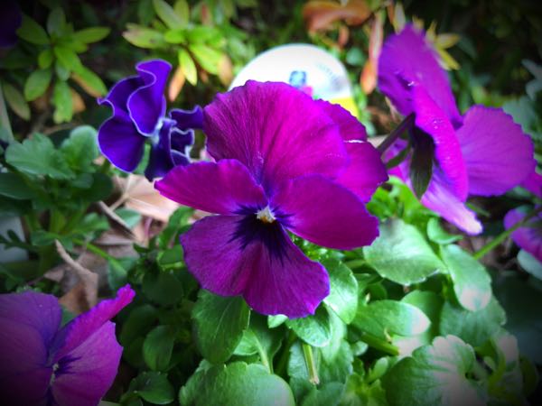 rblog-20161231163703-02.jpg