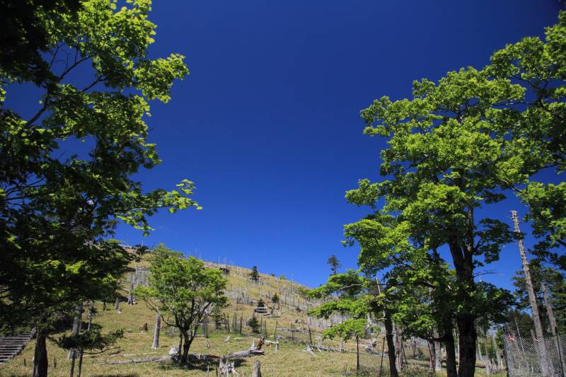 大台ケ原_002.jpg