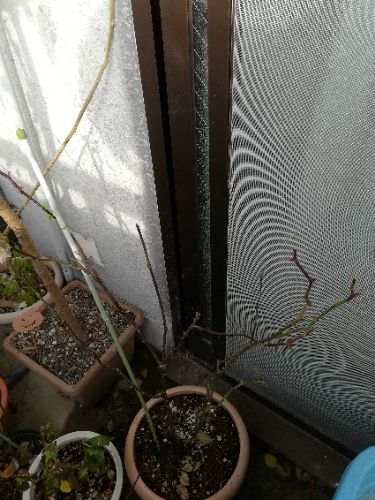rblog-20180128101131-03.jpg