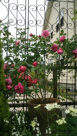 rblog-20140514221000-02.jpg