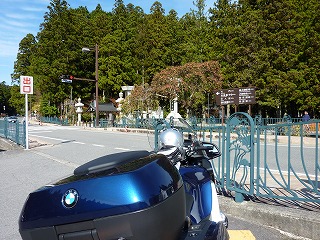 P1060254.jpg