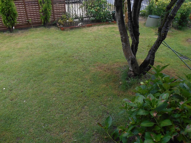 DSCN0810.JPG