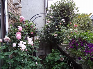 DSC01289.jpg