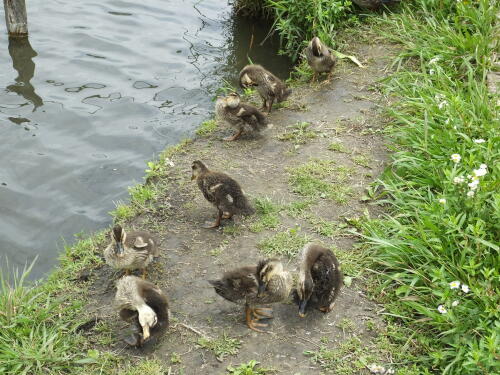 小池公園にて