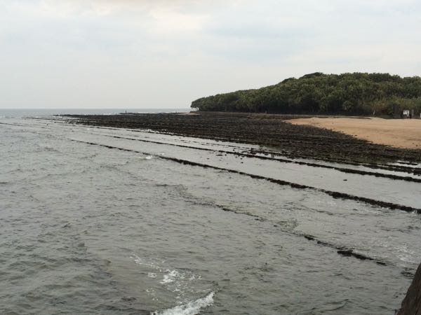 rblog-20160122152858-07.jpg