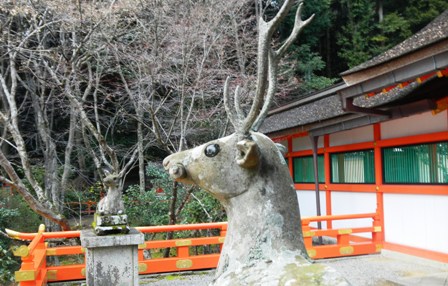 大原野神社・拝殿前の鹿