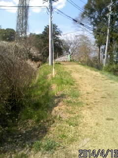 橋の上