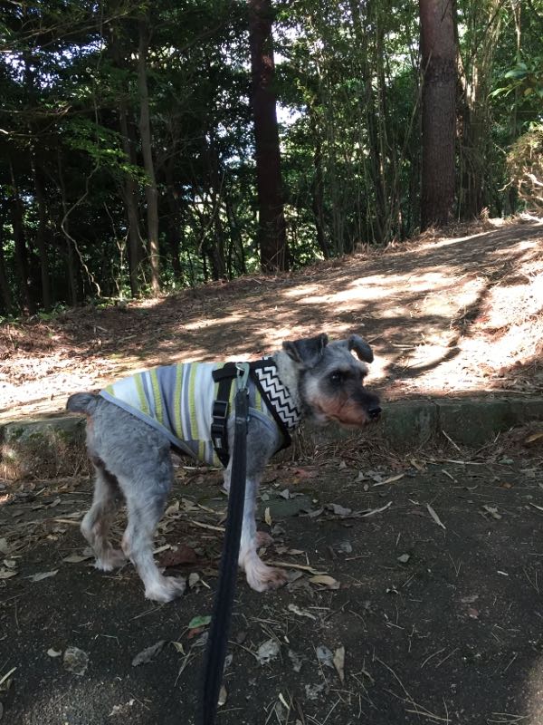 rblog-20160801010303-02.jpg