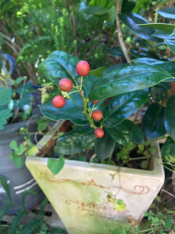 rblog-20181029111210-06.jpg