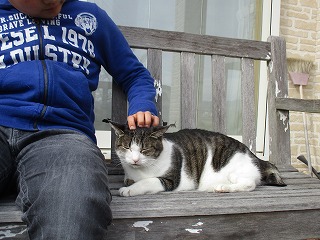IMG_5400ss.jpg