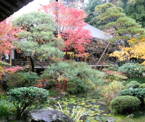 2012-11 永観堂内庭.jpg