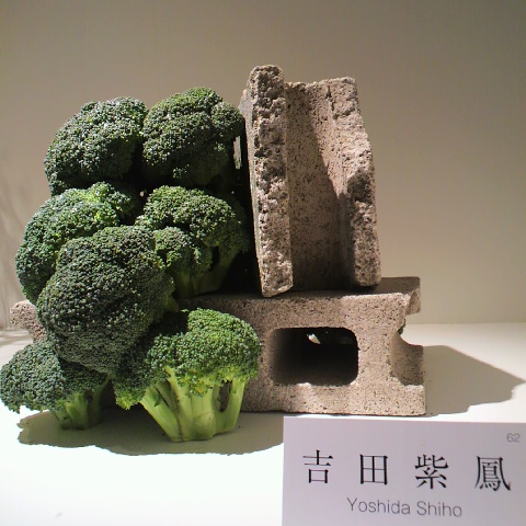 P1001212.JPG