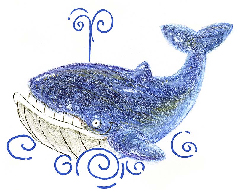 海水浴 クジラ イラスト Noguchi S Worldへようこそ 楽天ブログ