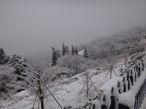 DSC03630.JPG