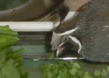 20140906(2)