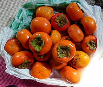 DSCN3055.JPG