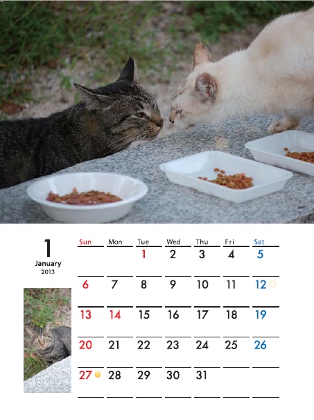 2013-カレンダーサンプル.jpg