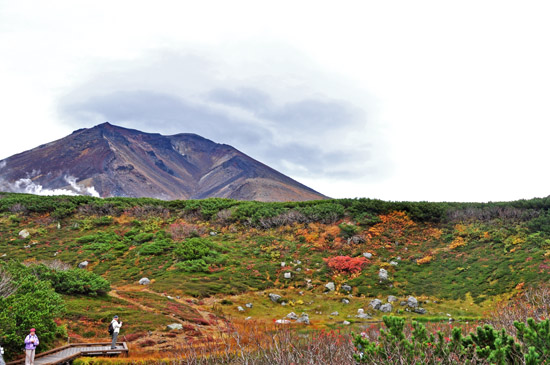 山