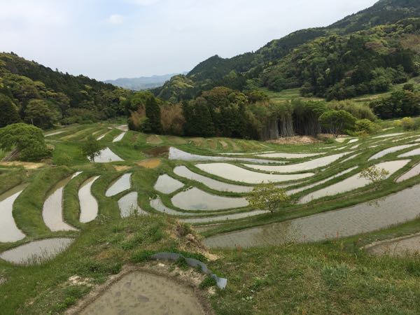 rblog-20170511104616-07.jpg