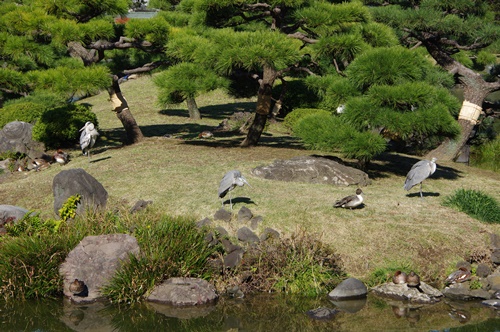 清澄庭園