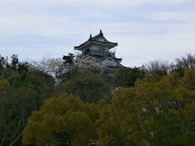 浜松城の桜